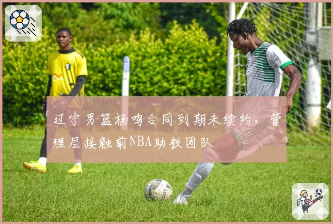 辽宁男篮杨鸣合同到期未续约，管理层接触前NBA助教团队