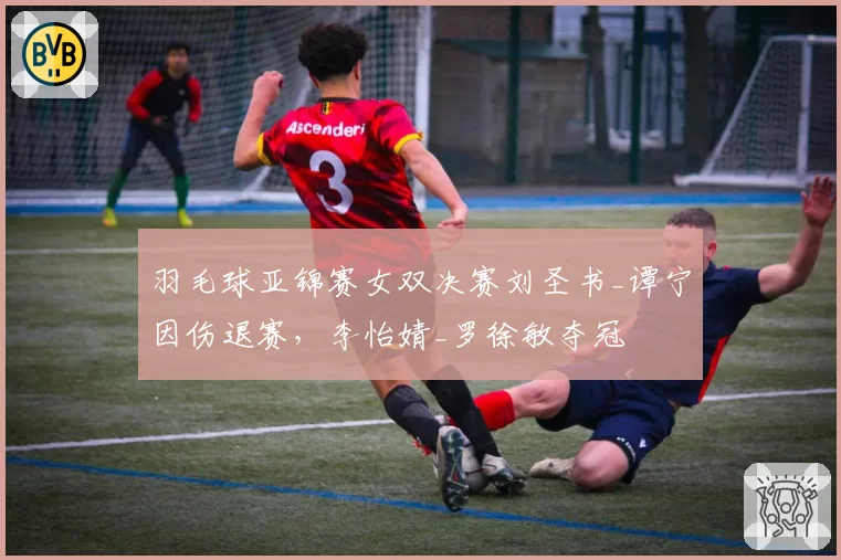 羽毛球亚锦赛女双决赛刘圣书_谭宁因伤退赛，李怡婧_罗徐敏夺冠